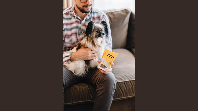CBD Products for Dogs and Pets in General