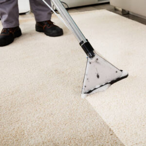 Carpet Cleaner In Your Home